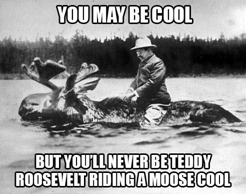 Are you Teddy Roosevelt cool?